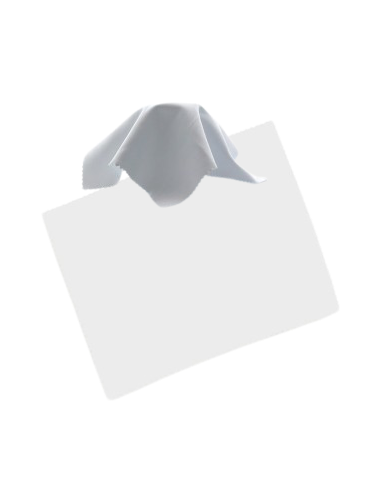 Personalización de Gamuza Limpiadora